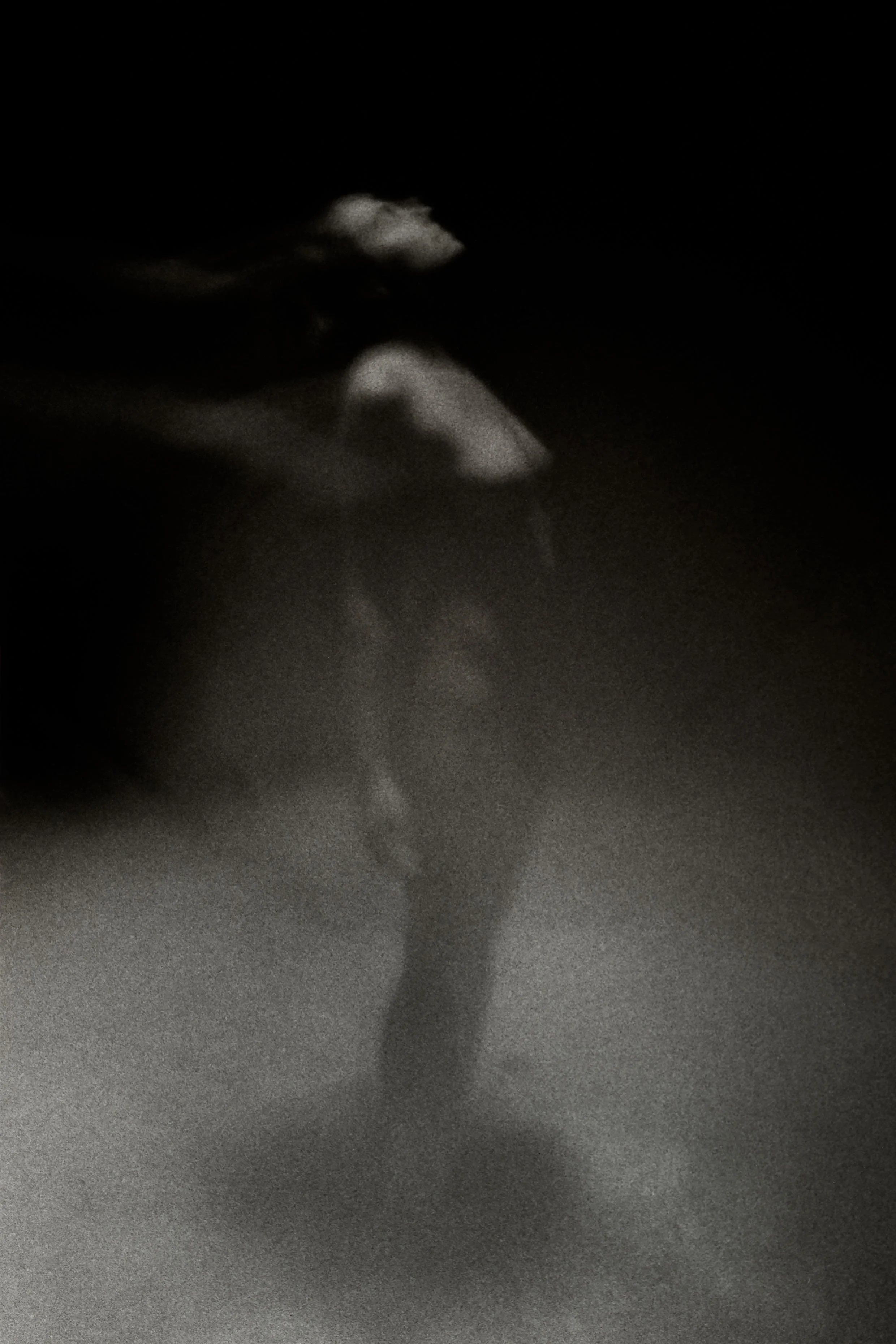 Elizabeth Alderliesten, Viola, 2021, Silver Gelatin Print, 120 x 180 cm Ed.2/3 + 1AP 