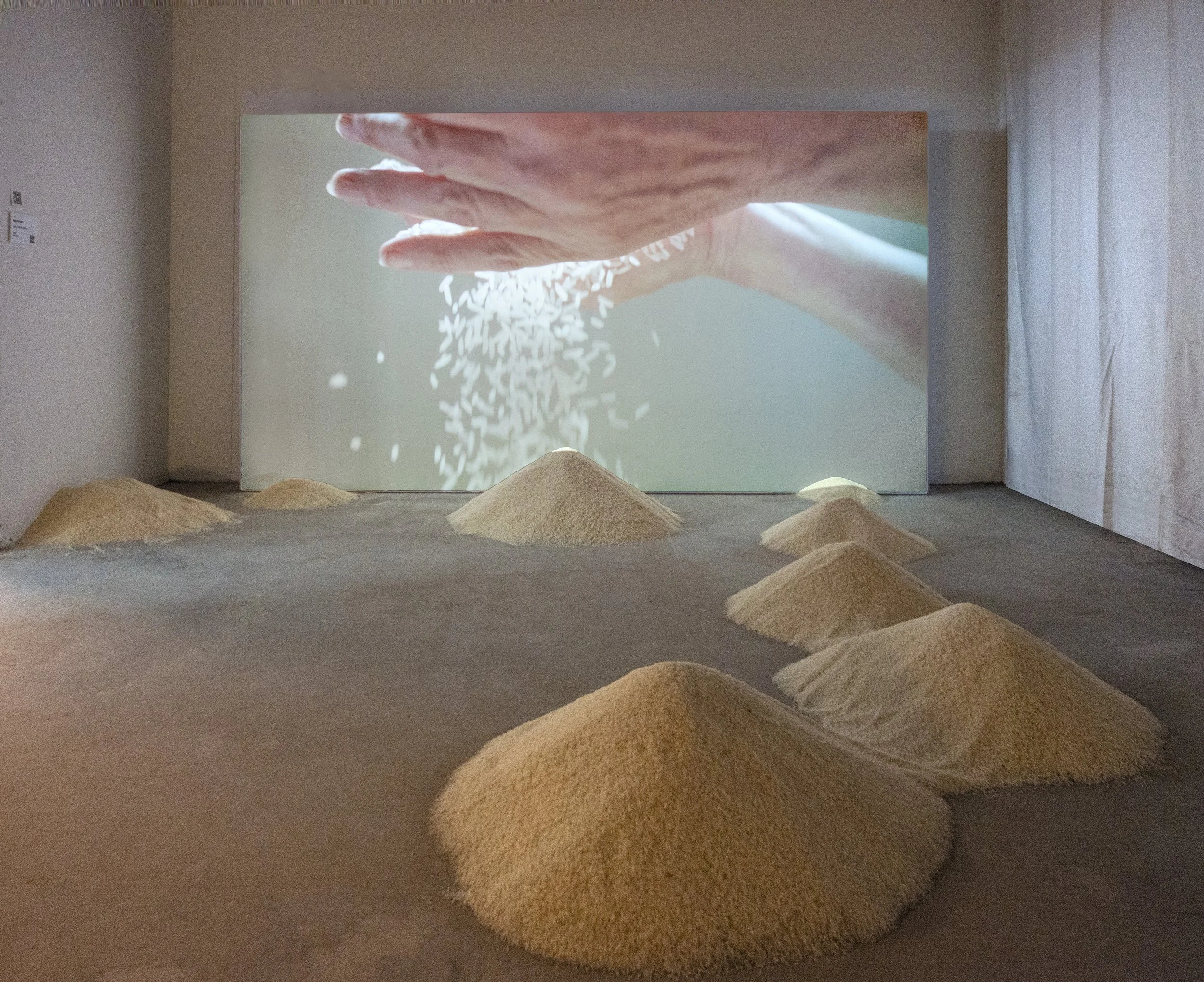 Margreet Kramer, FELICITY OF A RICE GRAIN, 2024, Video installation with rice, 
BIG ART 2023, Video