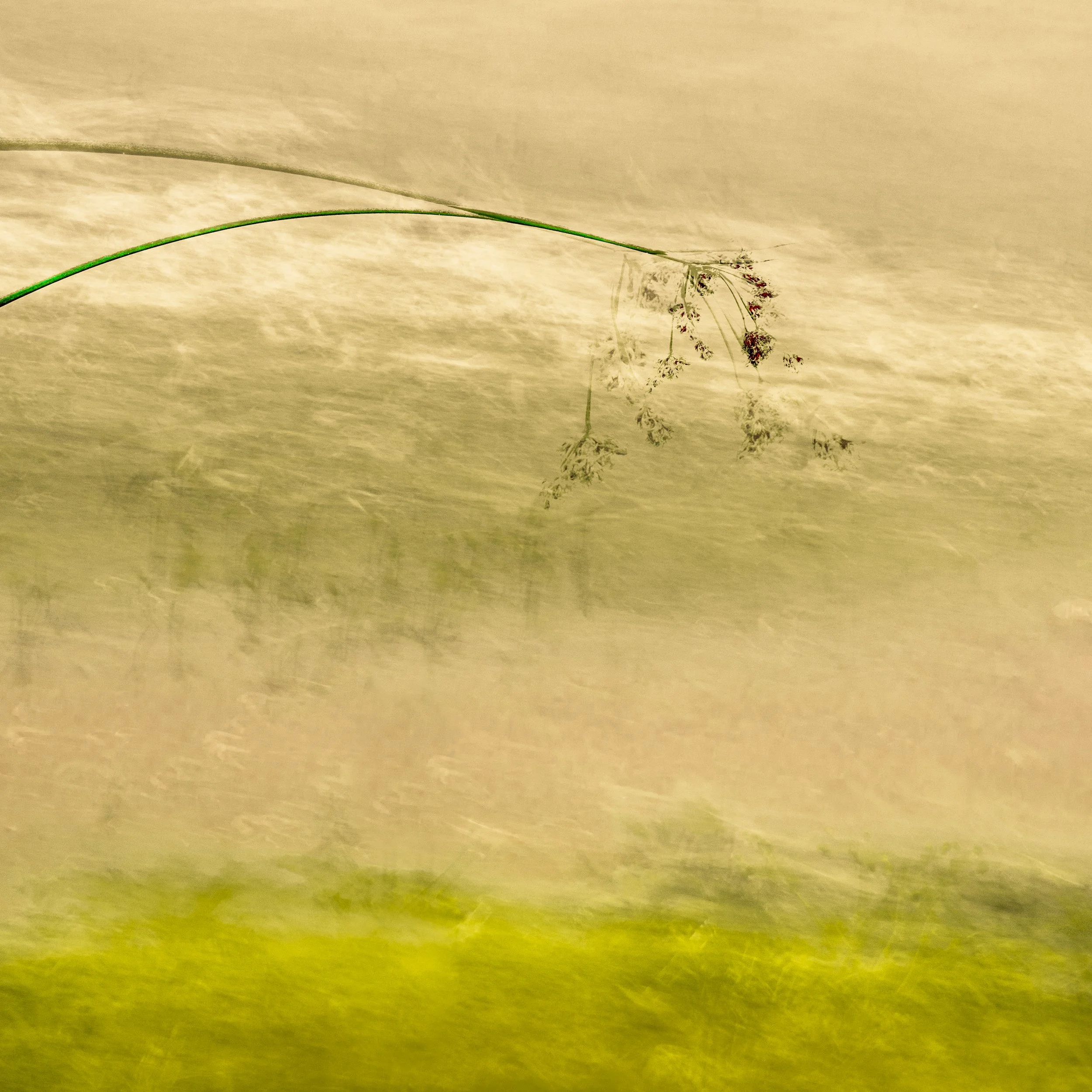 forever is composed of nows - presence,
Hahnemühle William Turner fine art print op aluminium, in mansonia houten baklijst
50 x 50 cm
Limited Edition 2/5 (+2 AP)
