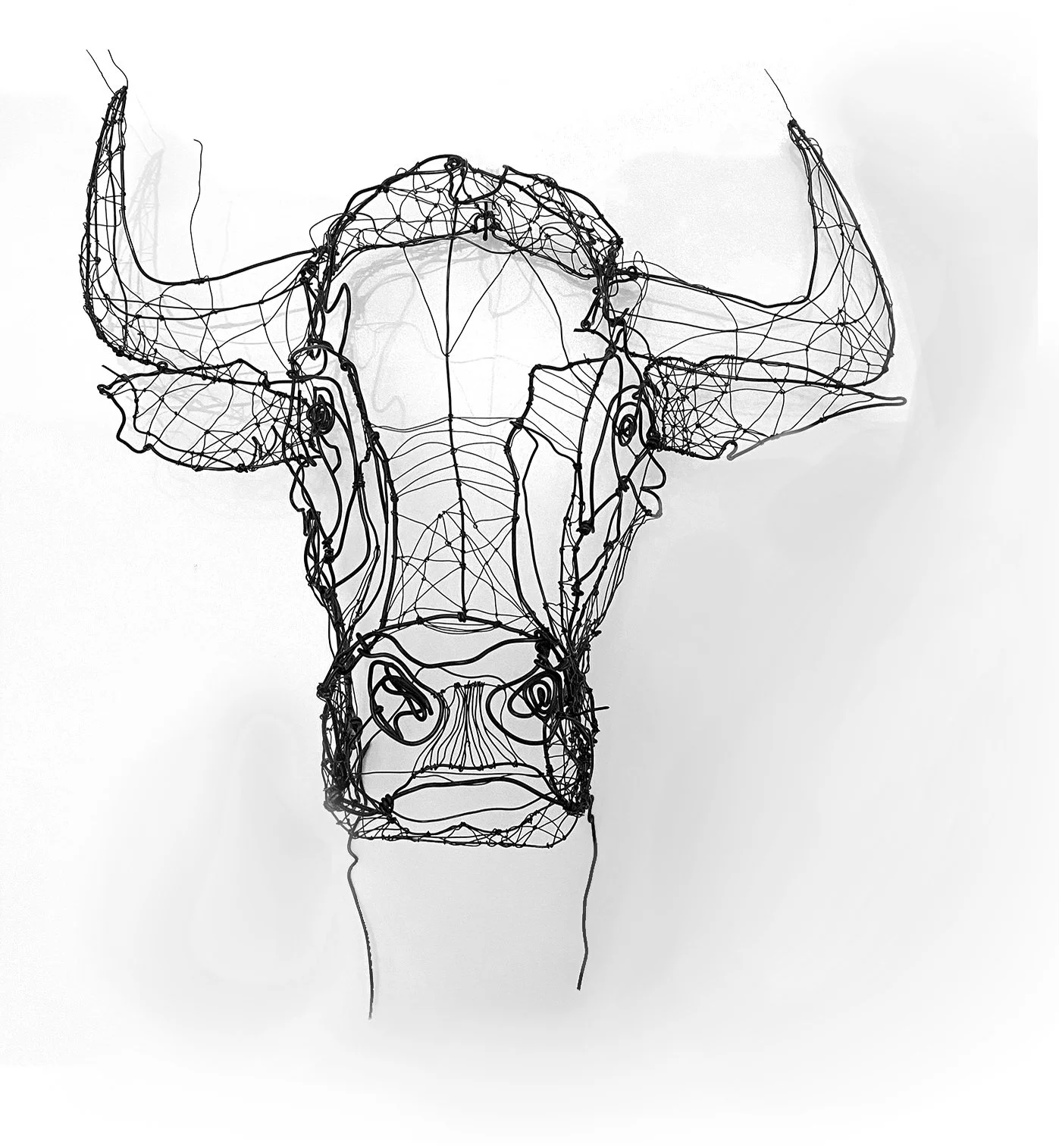 “Cabeza de toro” (Bull’s head), 90 x 75 cm
