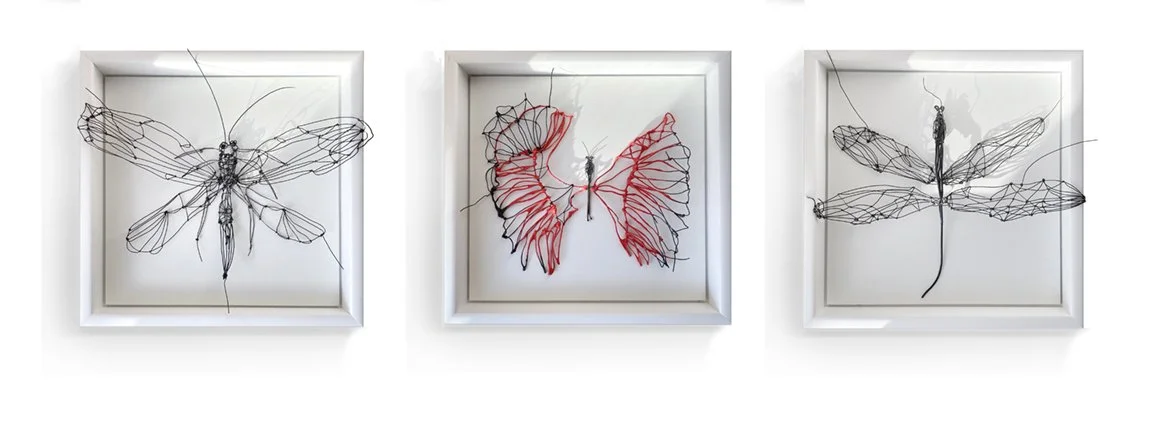 “Mariposa” (Butterfly) | “Mariposa roja” (Red butterfly) | “Libelulao” (Dragon-fly)

30 x 30 cm