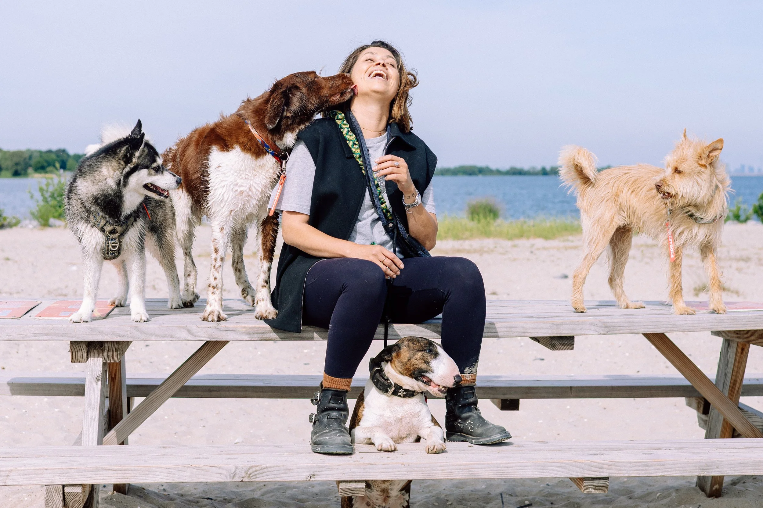 Westdogs Amsterdam - Utrecht