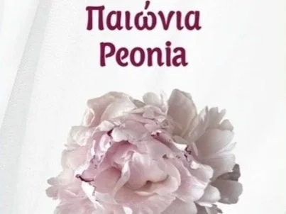 Peonia 