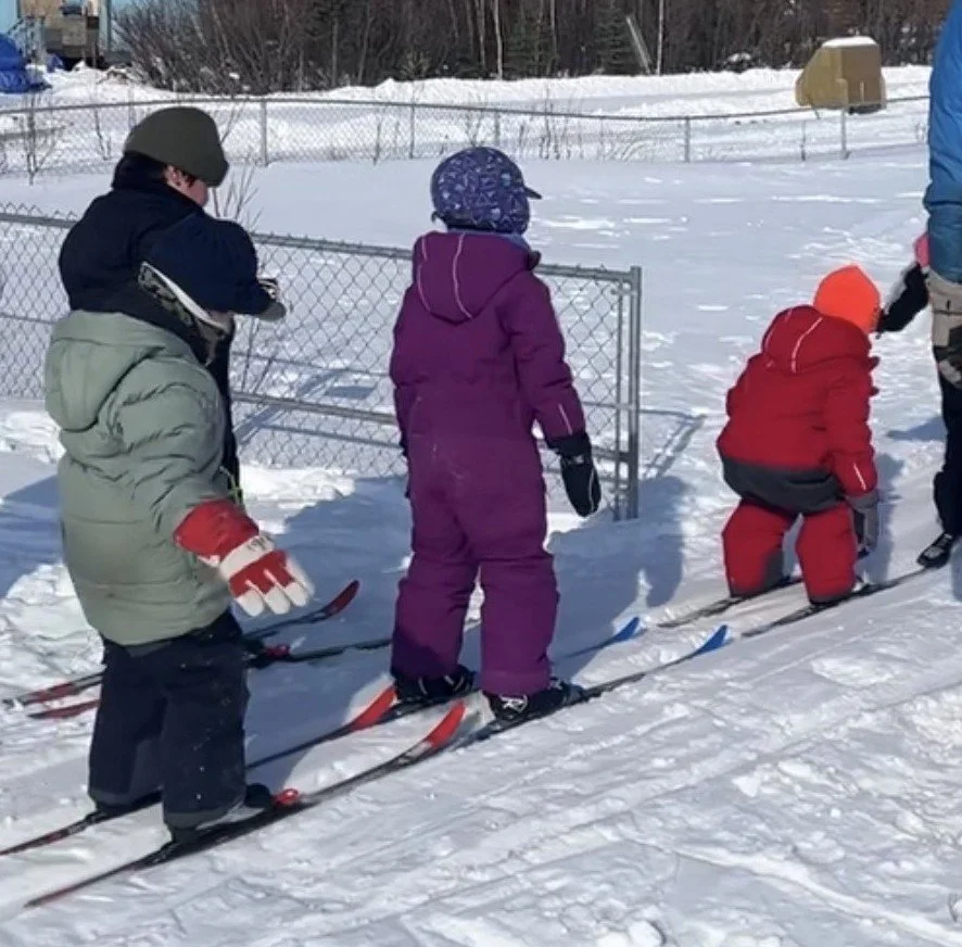 Small learners skiing