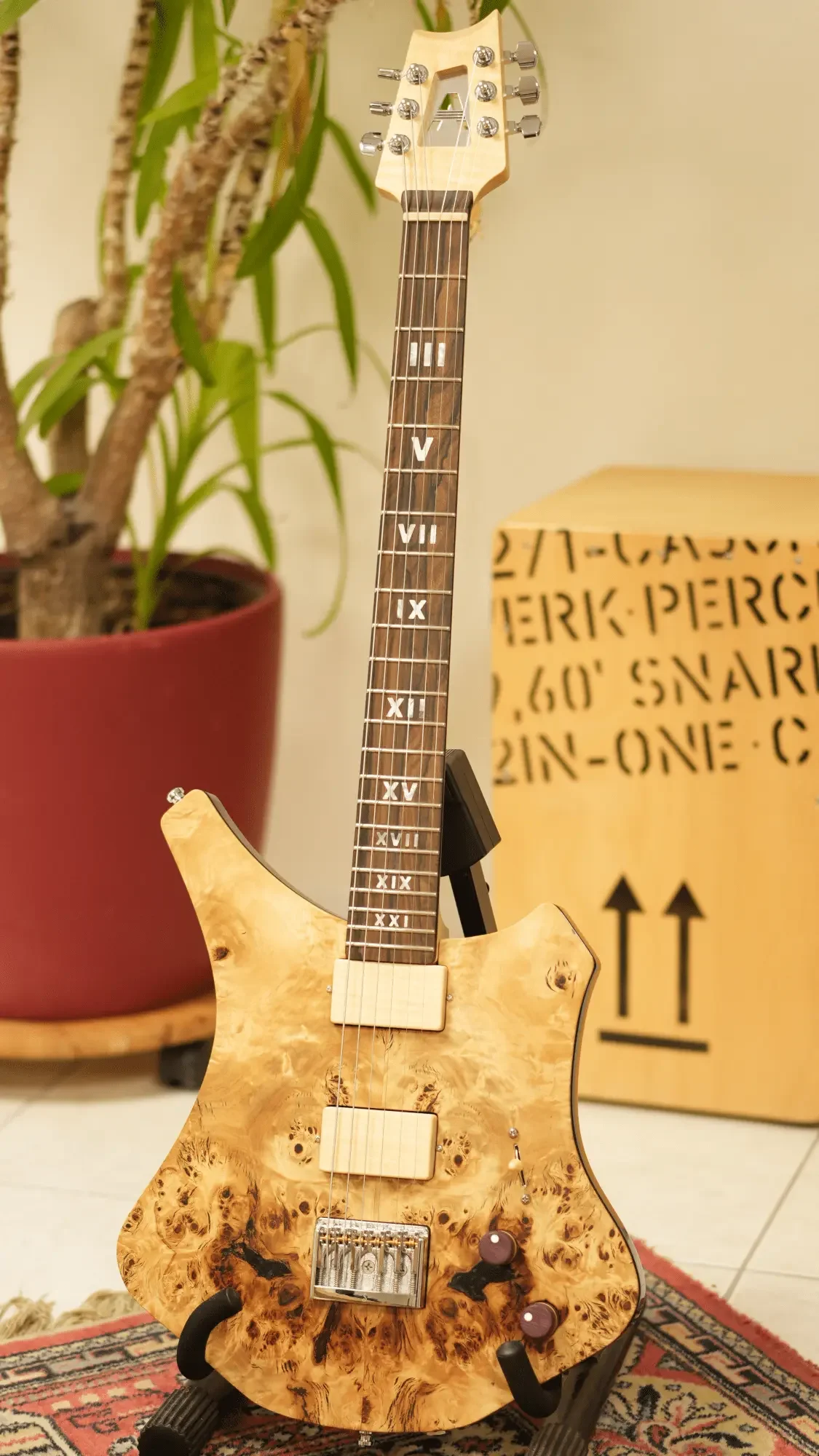 Prototyp E-Gitarre mit Top "Holzoptik"