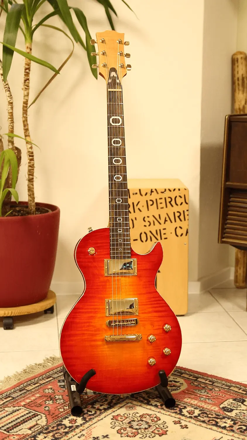 Les Paul Style E-Gitarre mit Sunburst