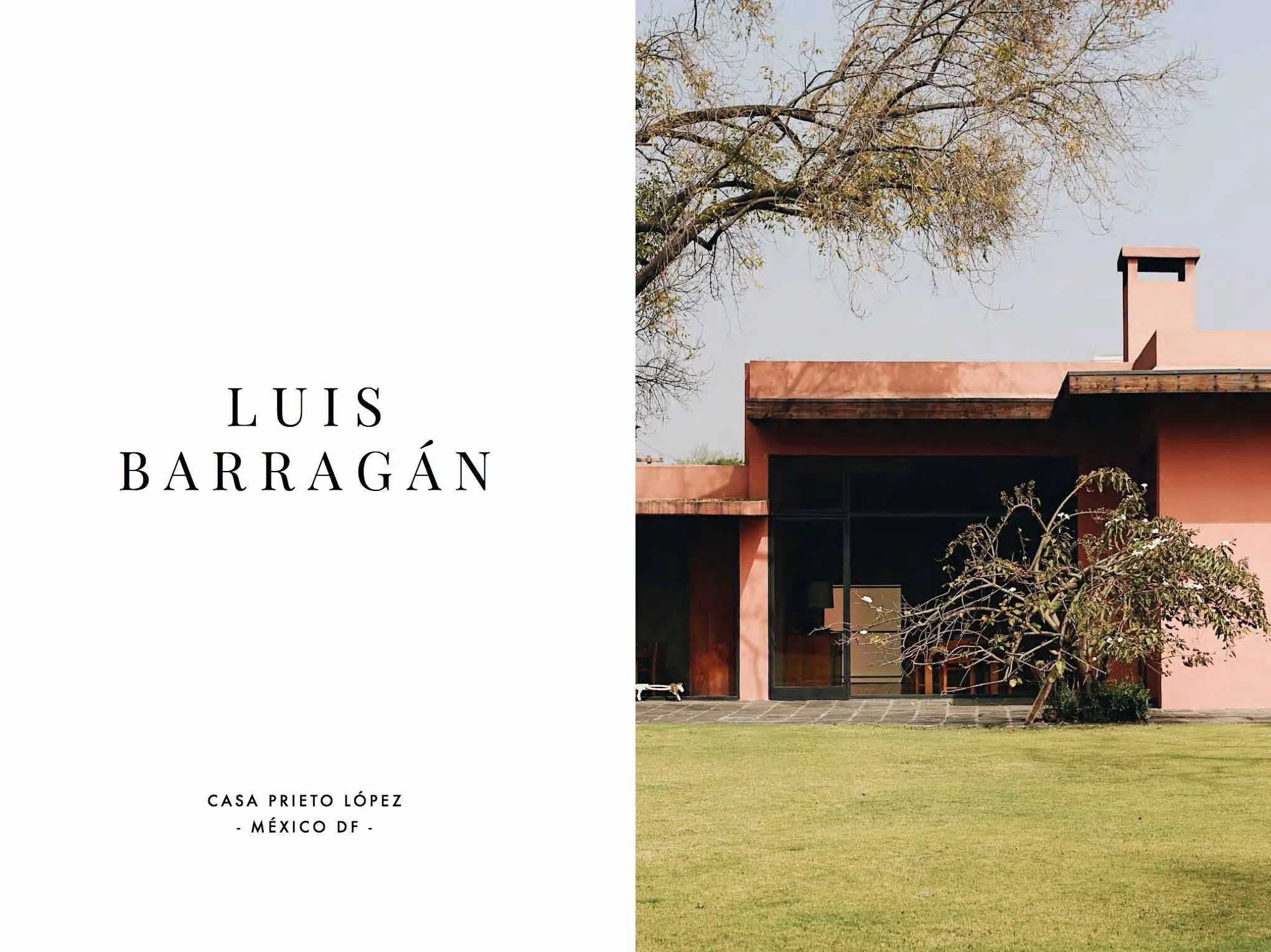AlbaGine_LuisBarragan01.jpg