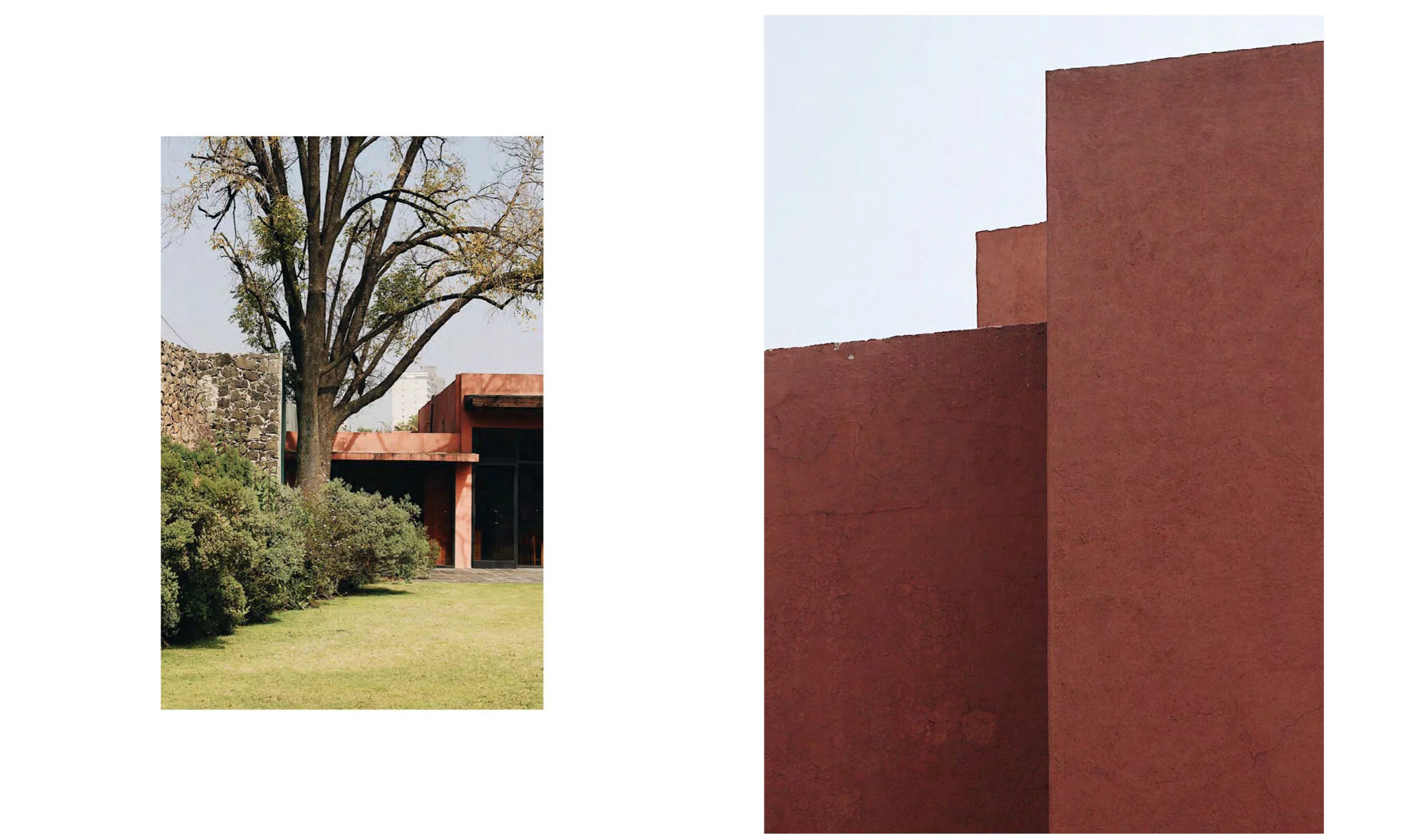 AlbaGine_LuisBarragan02.jpg