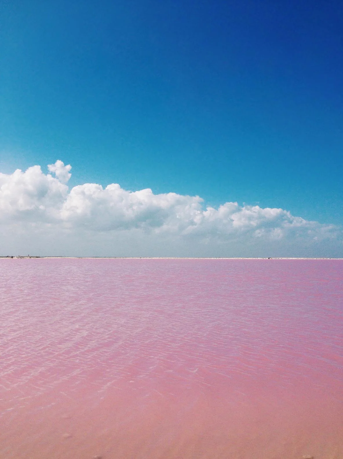 albagine-mexico-LQ.jpg