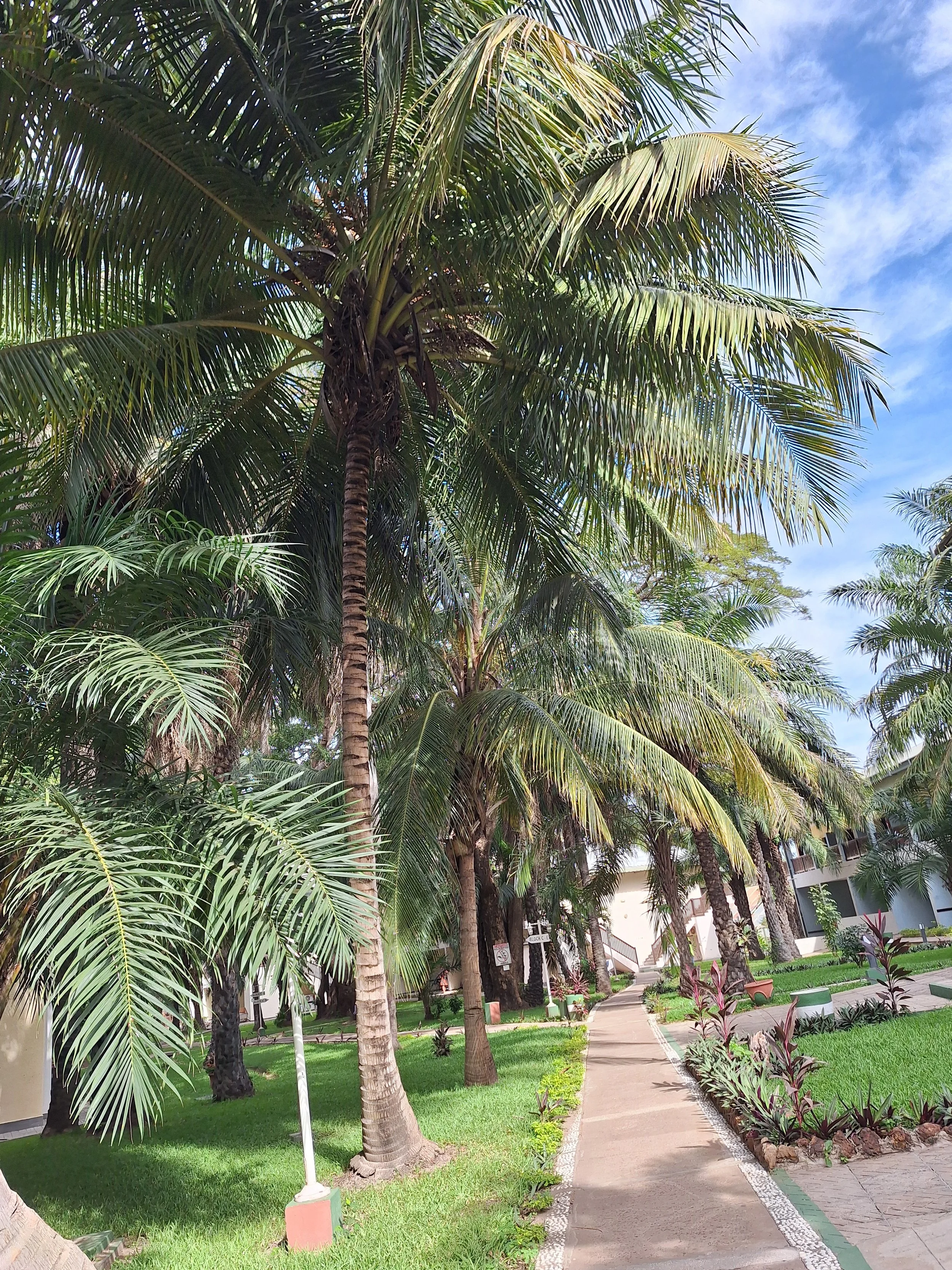 Wonderful Stay at The Senegambia Beach Hotel