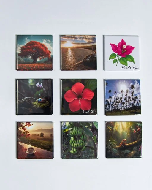 Island Botanicals & Magic