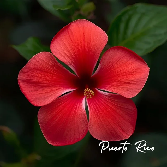 WEBSITE COLLATERAL-41.jpg