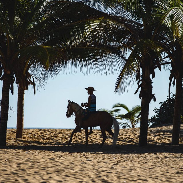 WEBSITE COLLATERAL-55.jpg