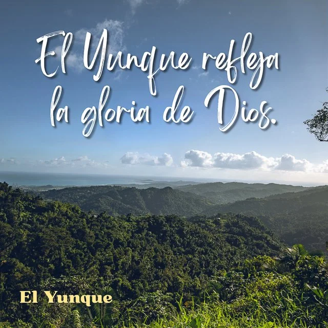 WEBSITE COLLATERAL-22.jpg