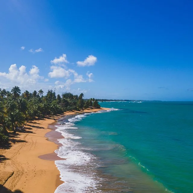 WEBSITE COLLATERAL-89.jpg