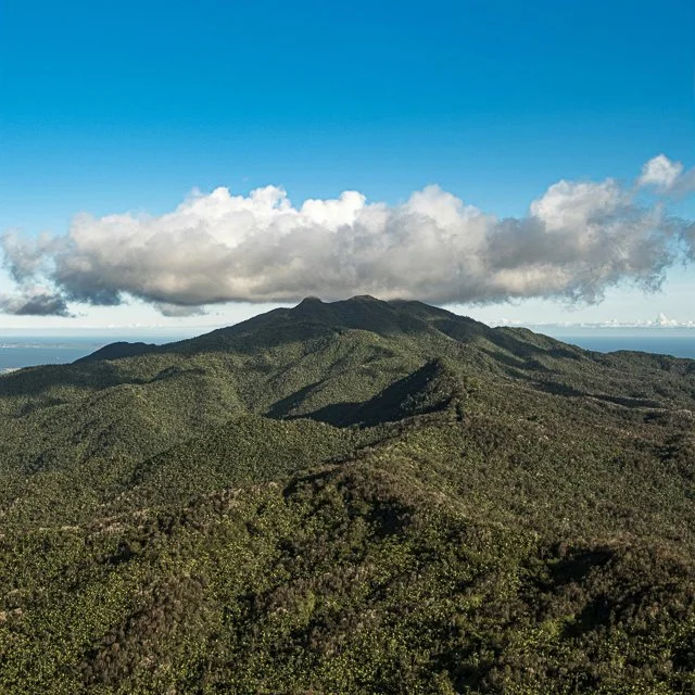 WEBSITE COLLATERAL-100.jpg