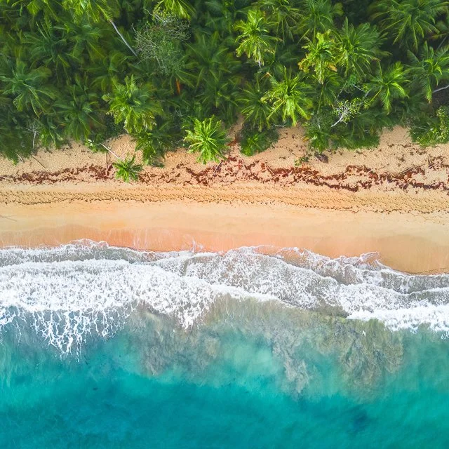 WEBSITE COLLATERAL-90.jpg