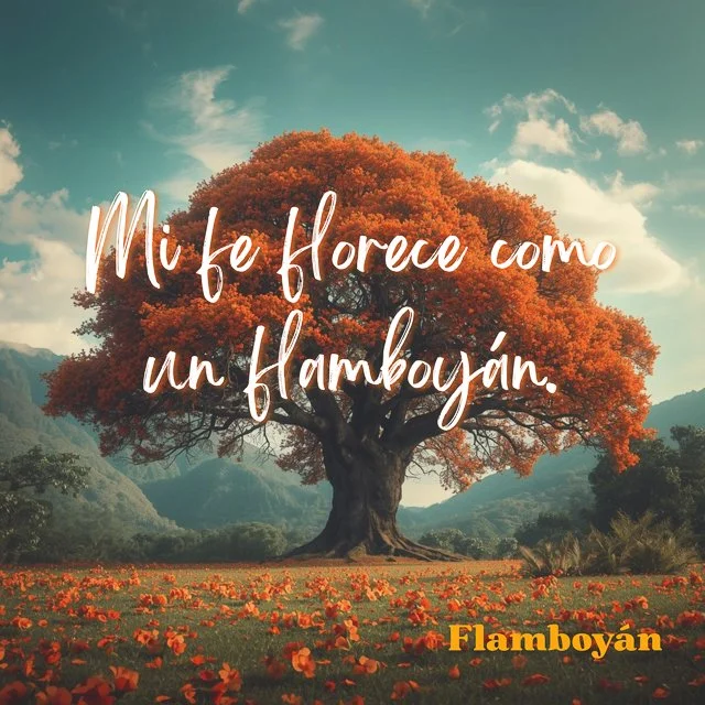 WEBSITE COLLATERAL-24.jpg