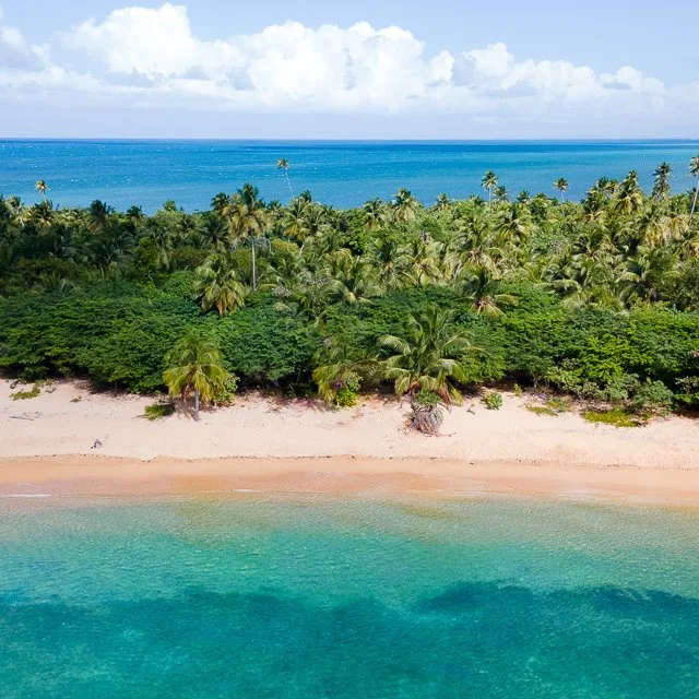 WEBSITE COLLATERAL-52.jpg