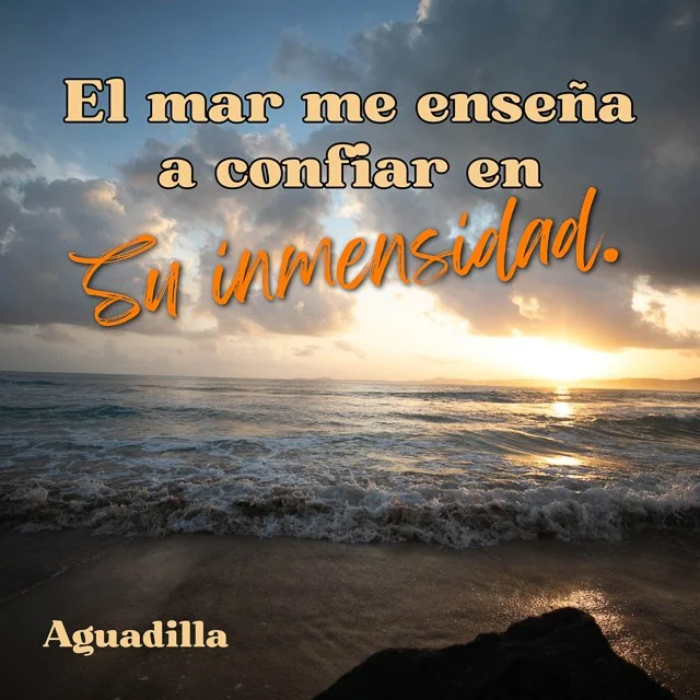 WEBSITE COLLATERAL-23.jpg