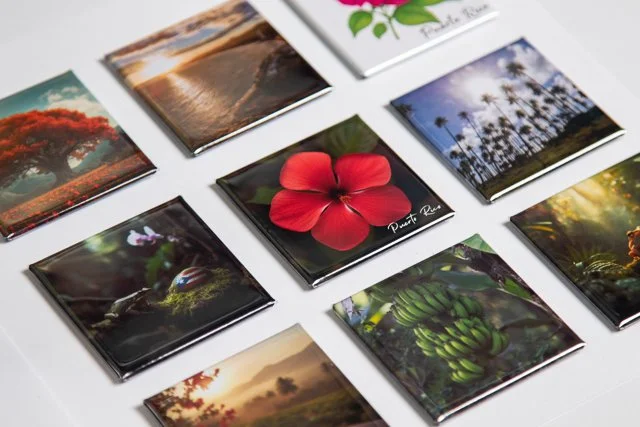 WEBSITE COLLATERAL-9.jpg