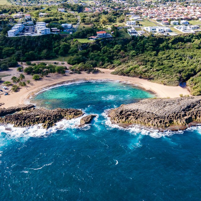 WEBSITE COLLATERAL-59.jpg