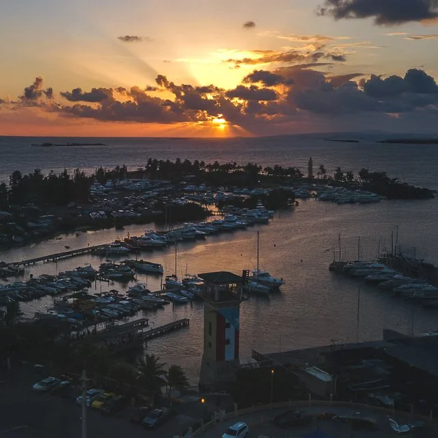 WEBSITE COLLATERAL-91.jpg