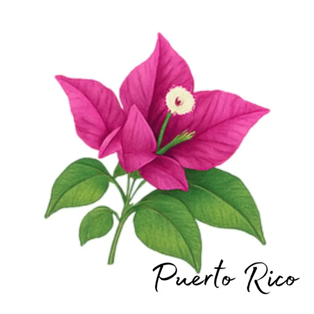 WEBSITE COLLATERAL-40.jpg