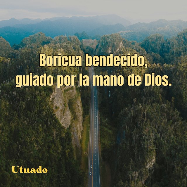 WEBSITE COLLATERAL-19.jpg