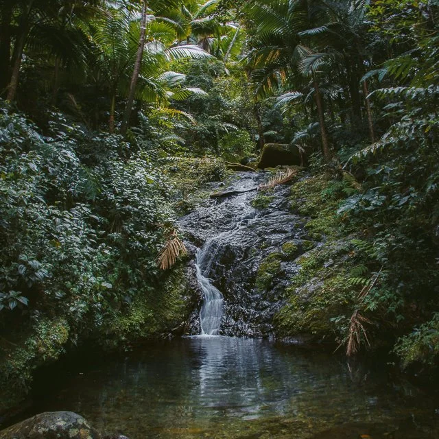 WEBSITE COLLATERAL-94.jpg