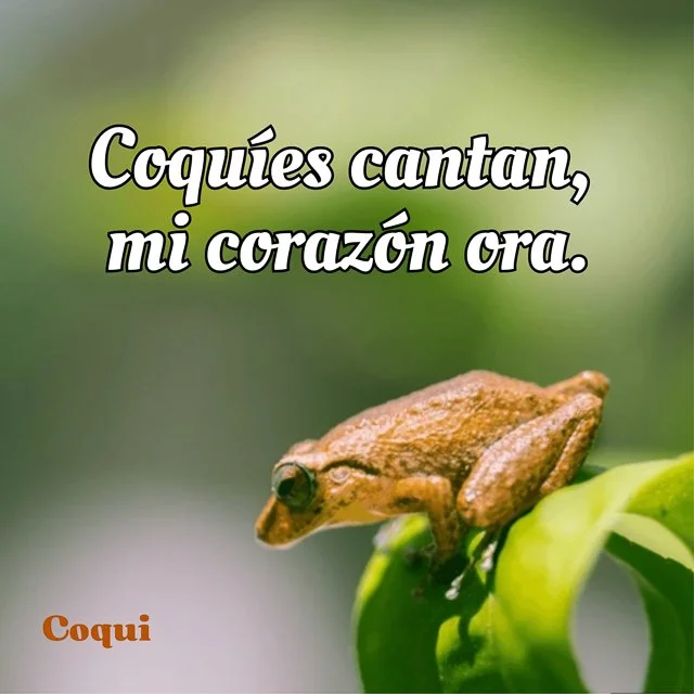 WEBSITE COLLATERAL-21.jpg