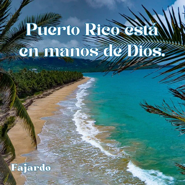 WEBSITE COLLATERAL-20.jpg