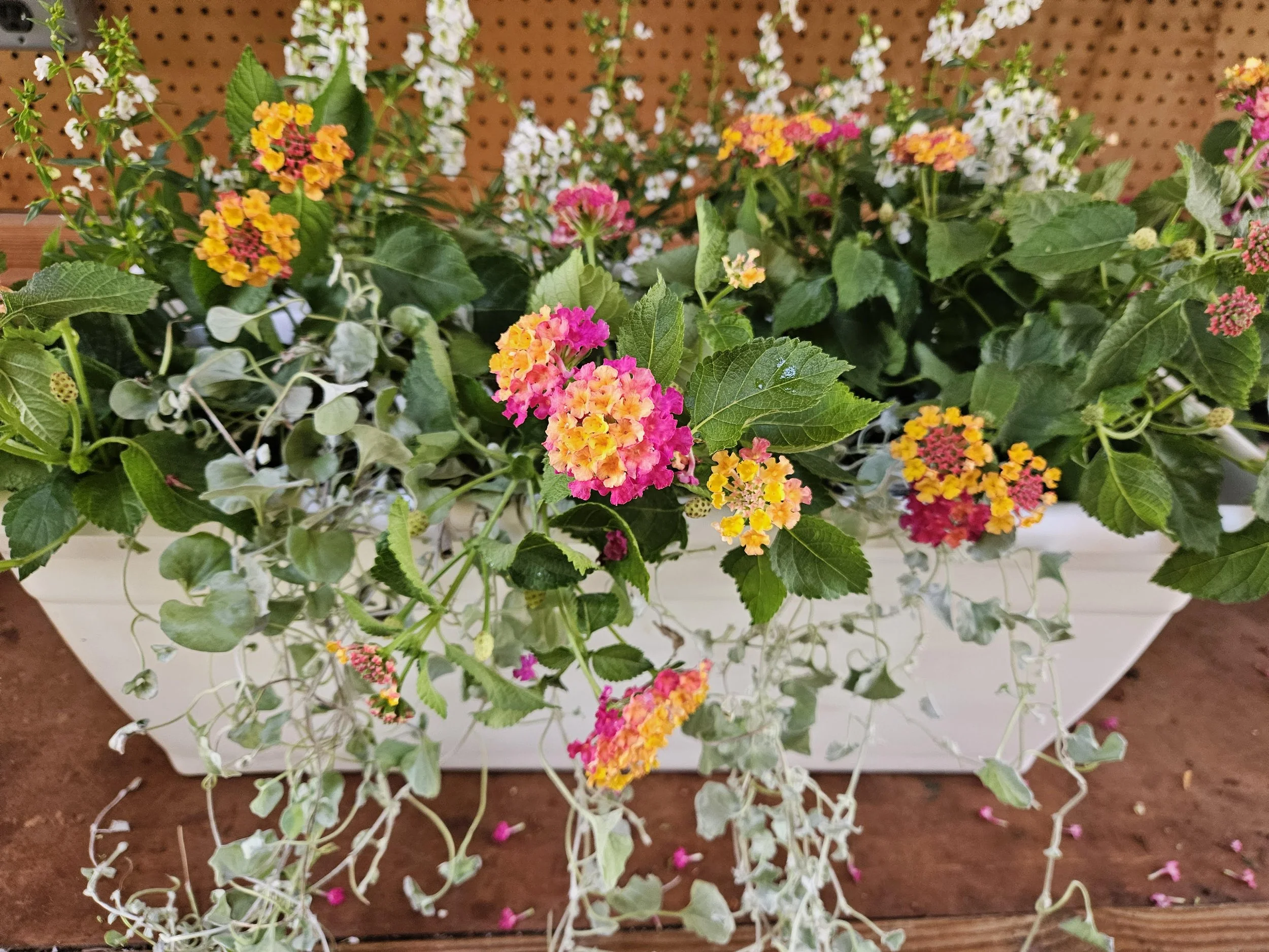 Whatever You Make Of It