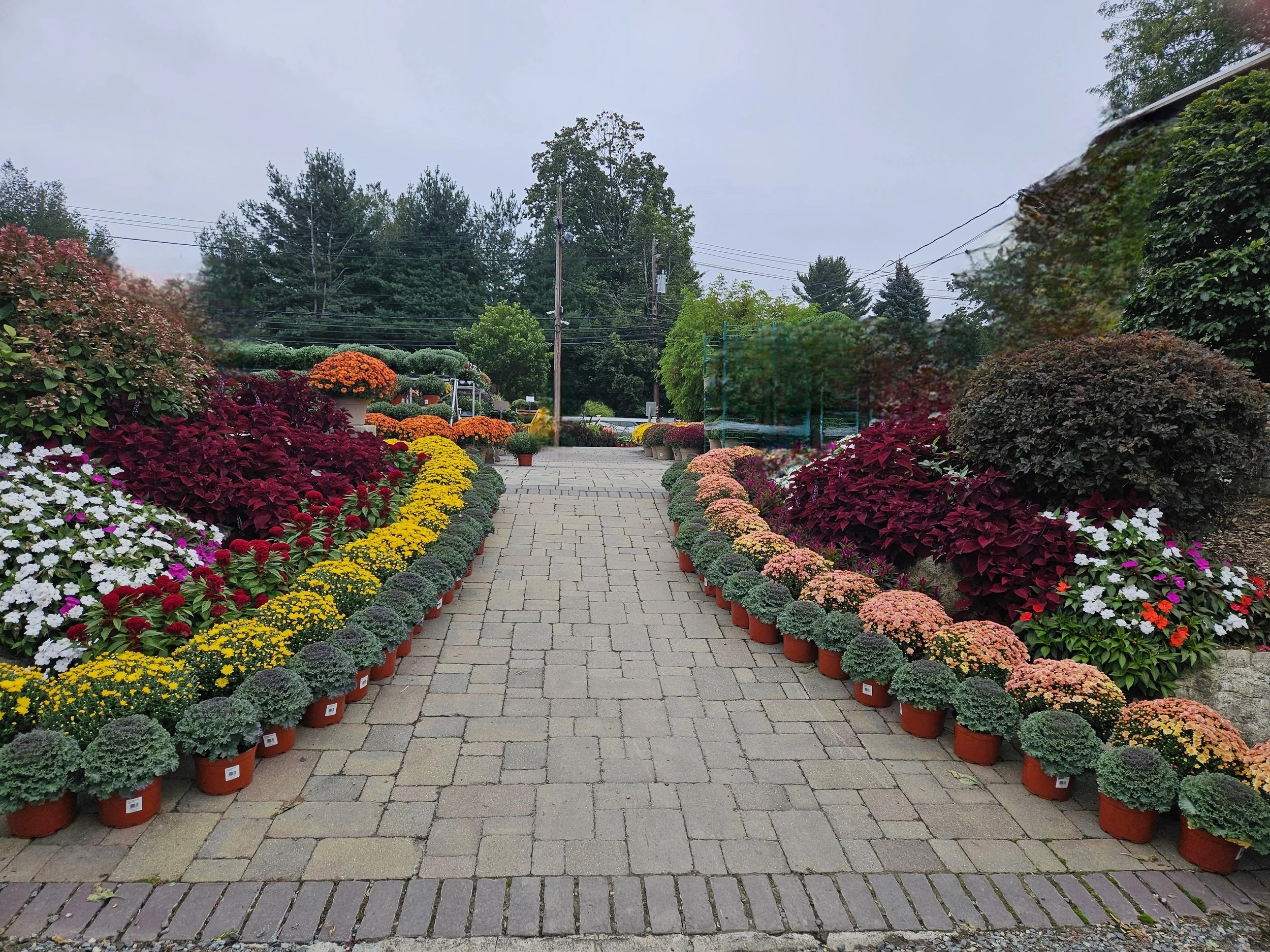 Calm Before The Storm