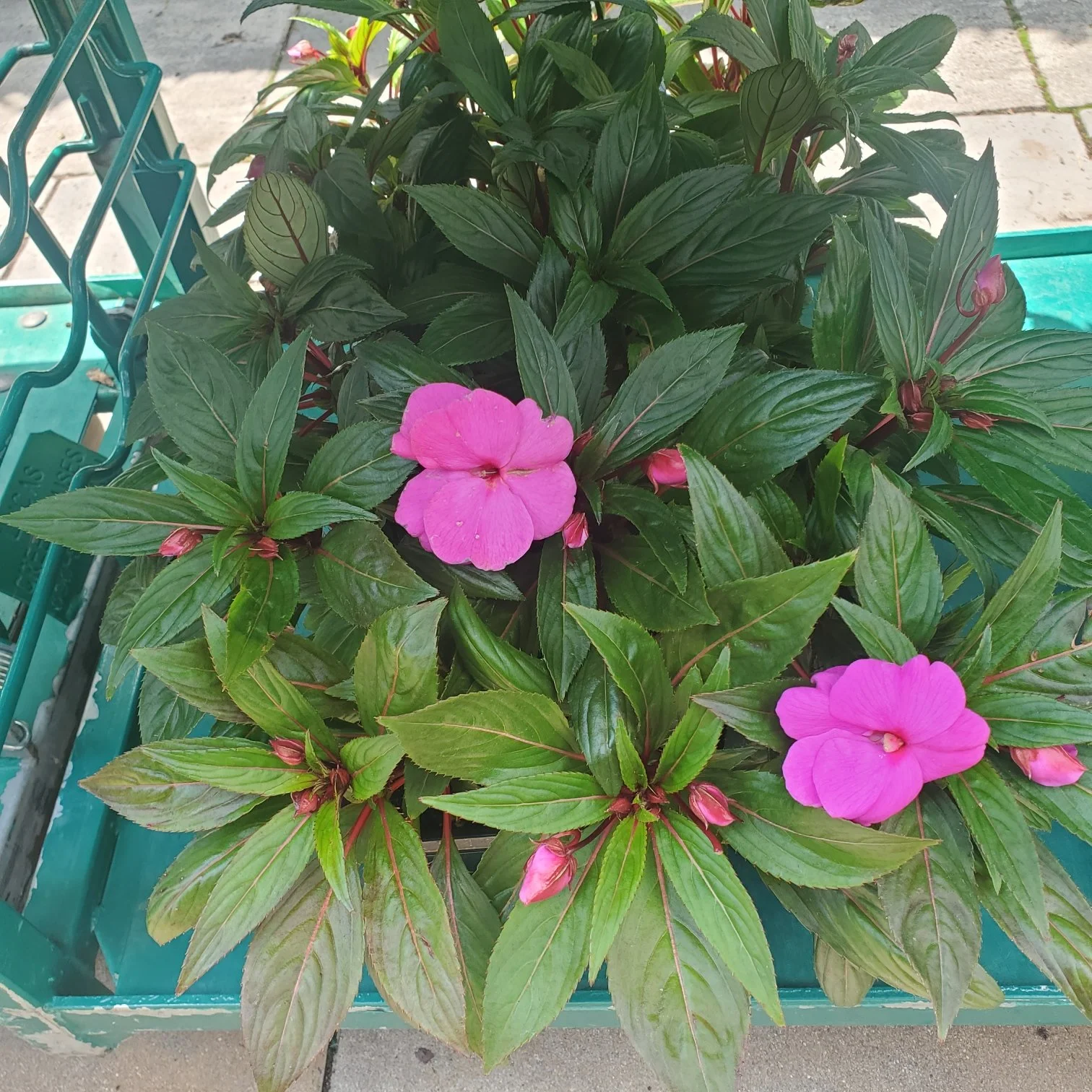 At the End of the Day