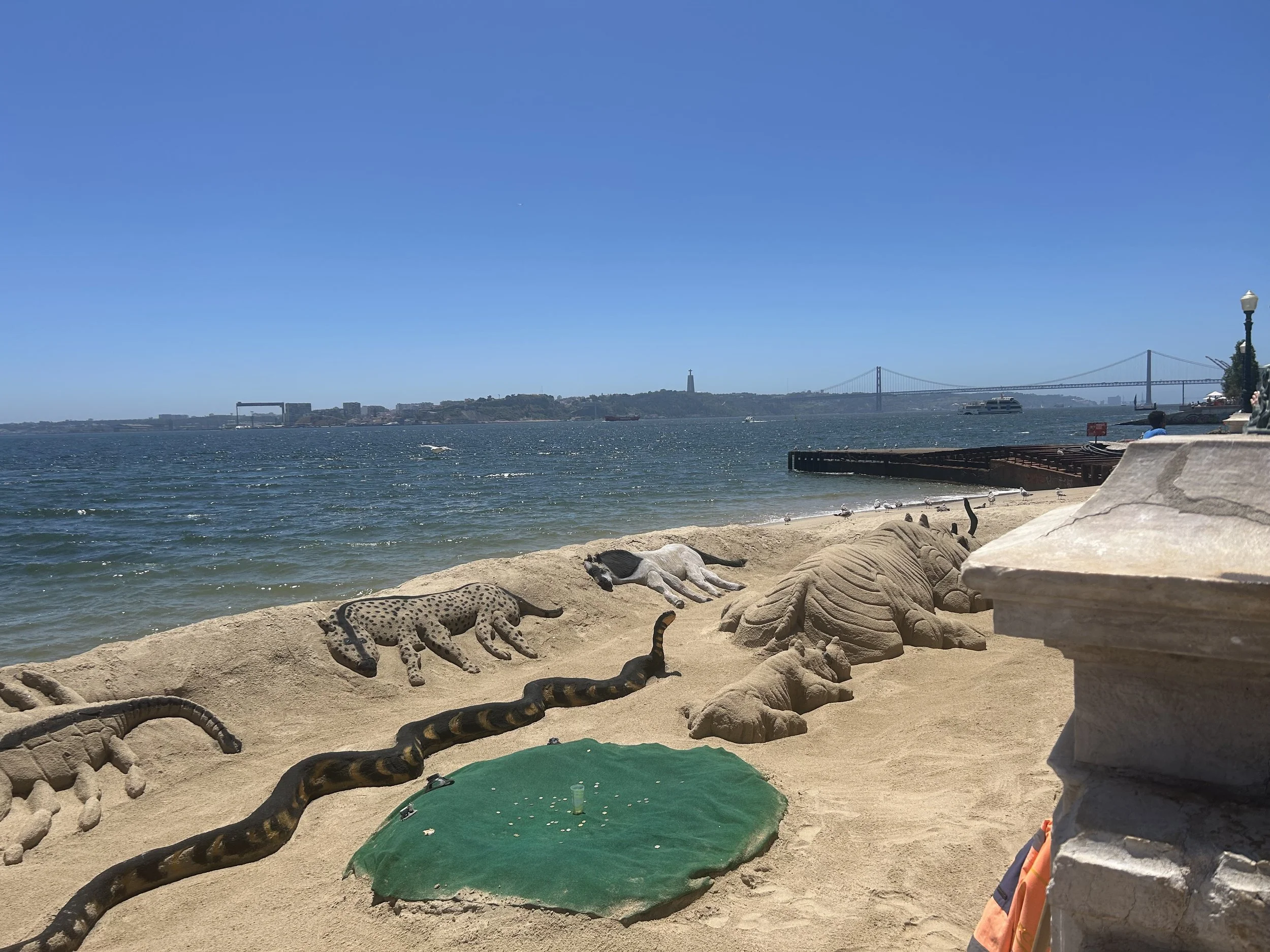 Praca do Comercio: different animals carved out in the sand!
