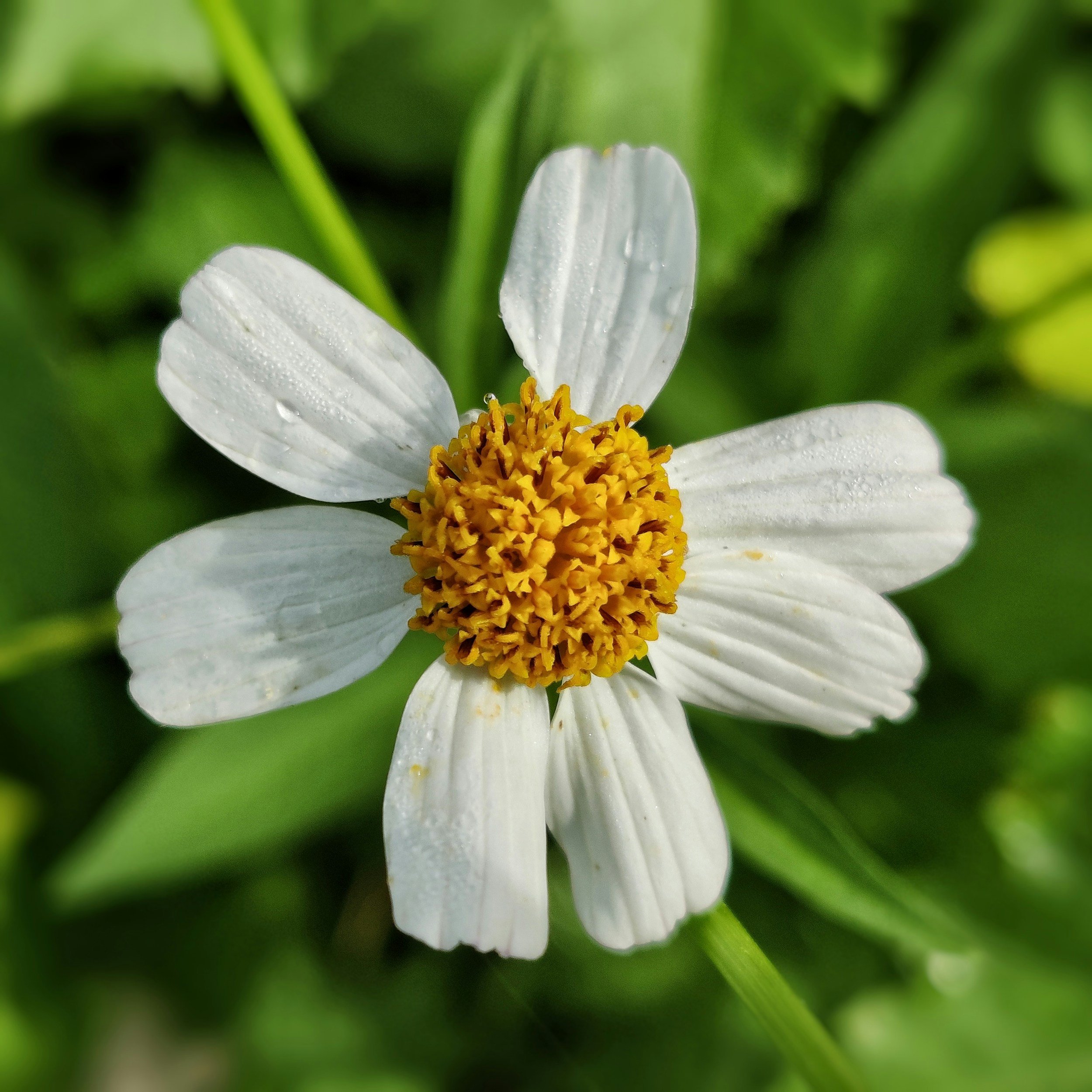 Geometric drawing of an outline square with sections divided by vertical, horizontal, and diagonal lines.