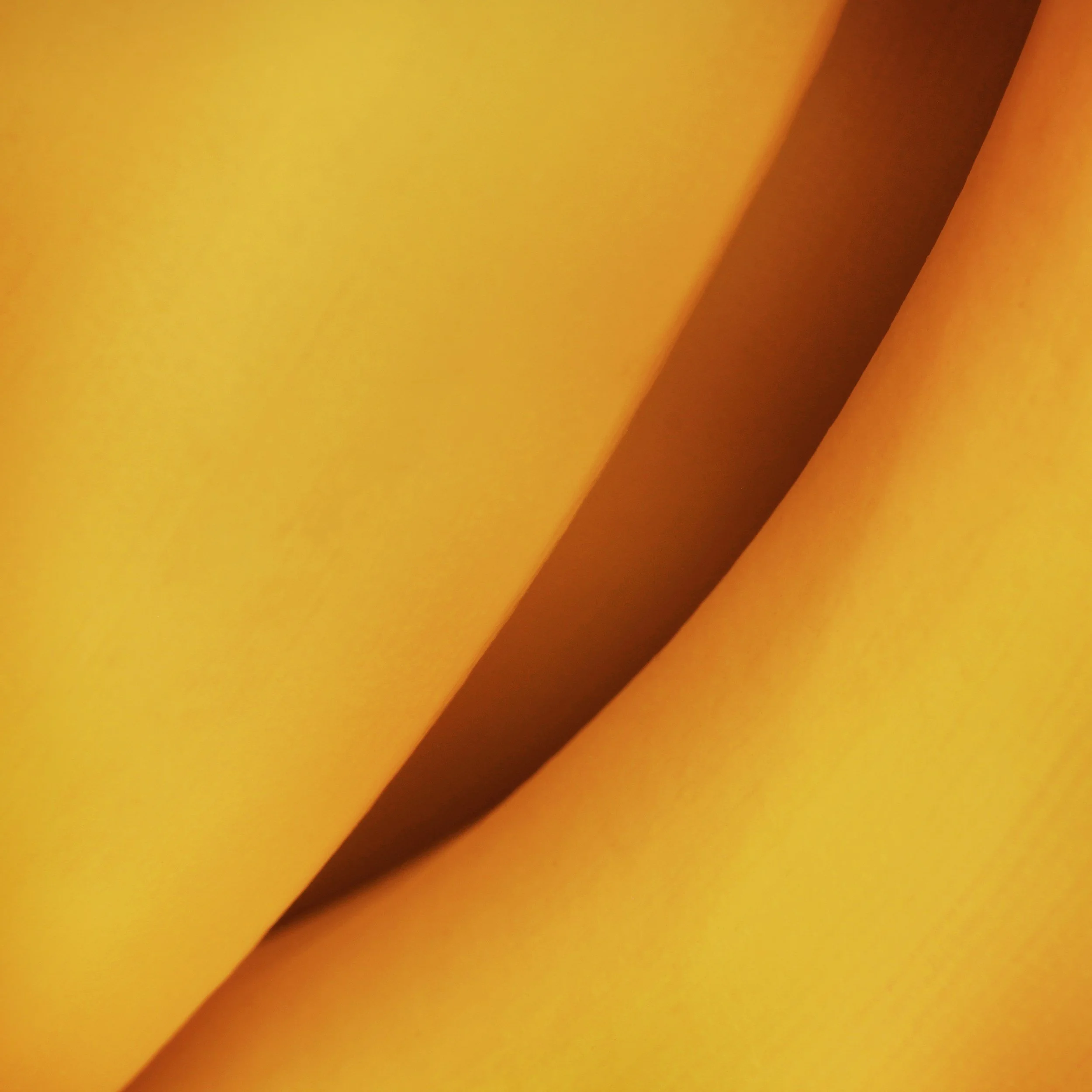 Geometric drawing of an outline square with sections divided by vertical, horizontal, and half circle lines.