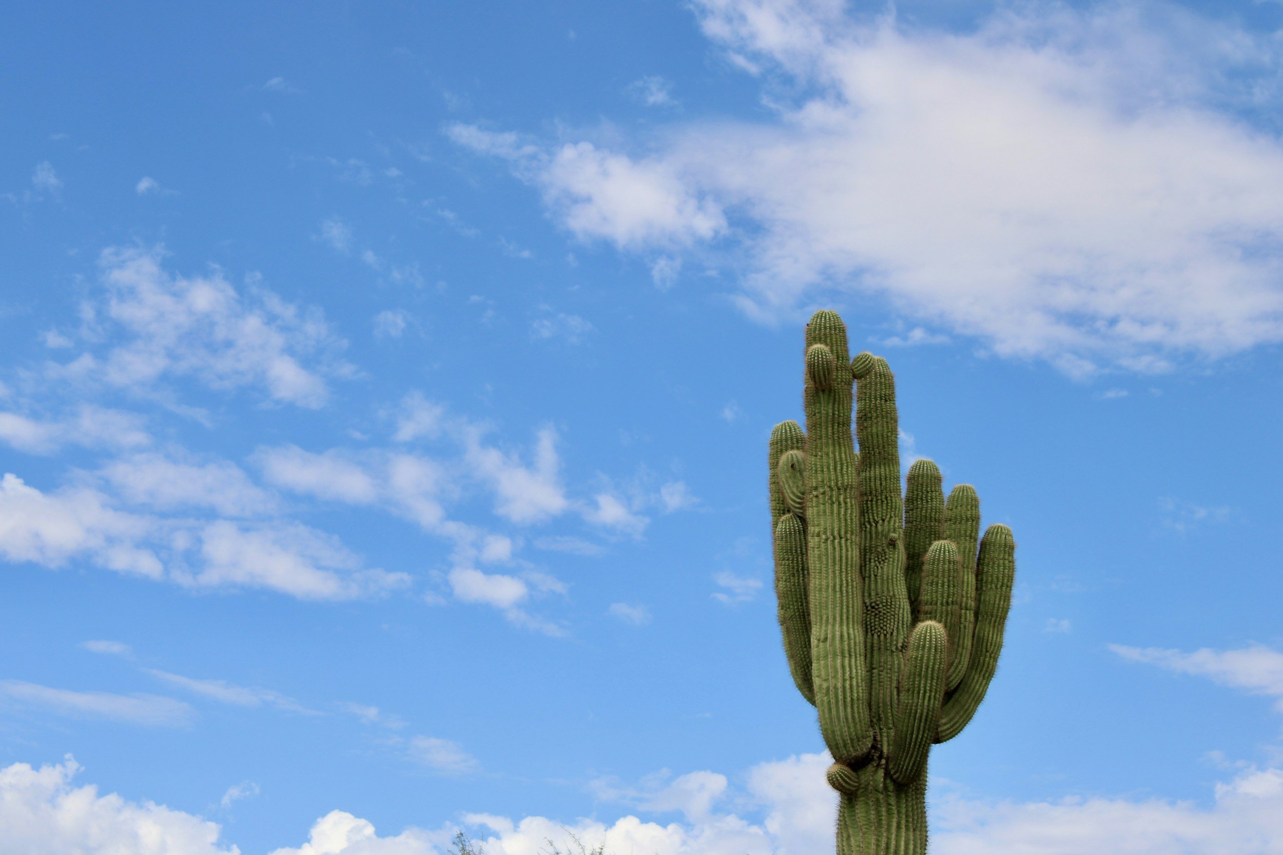 Geometric drawing of an outline square with sections divided by vertical, horizontal, and diagonal lines.