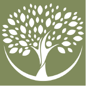THE COLLECTIVE Mental Health &amp; Wellness