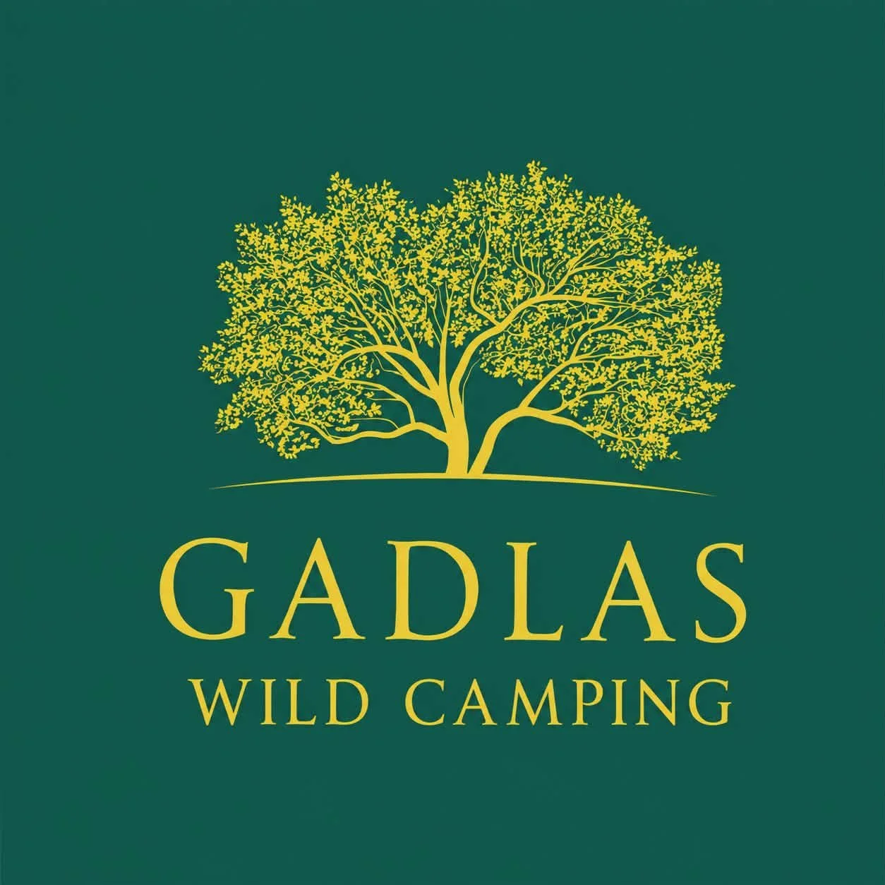 camping bala, wild camping bala, things to do bala, places to stay bala