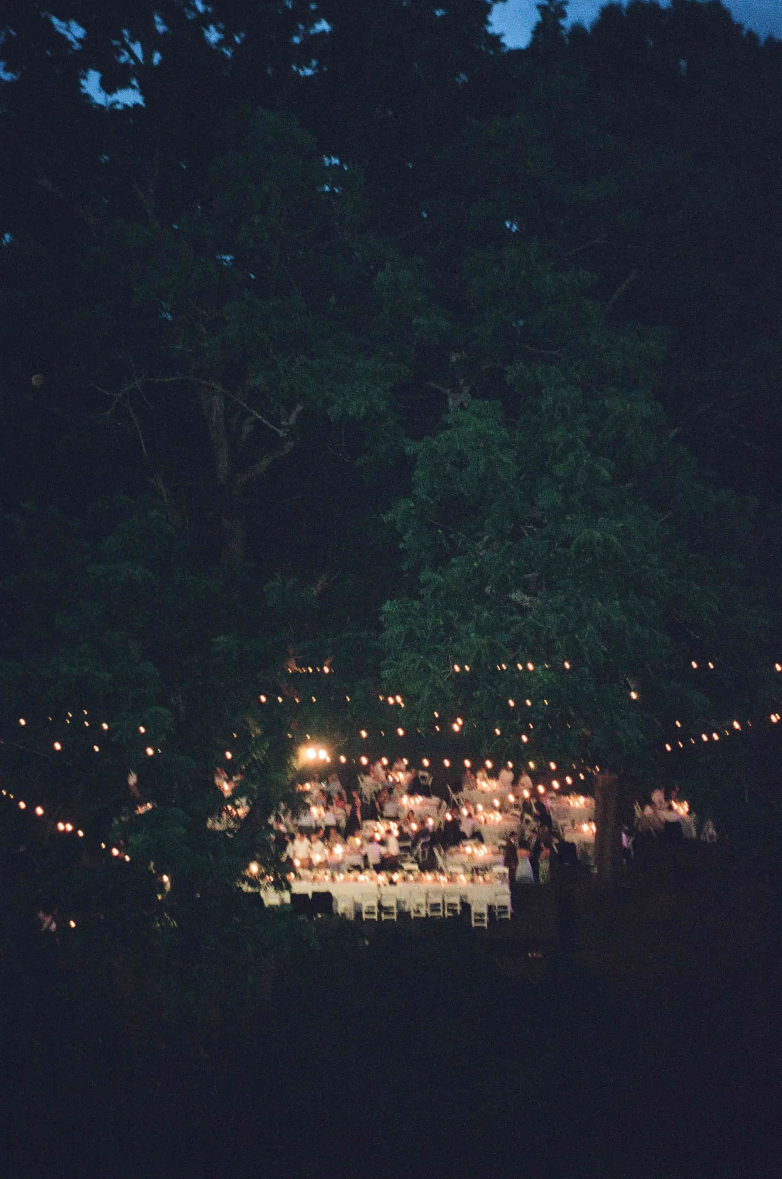 Outdoor evening event with string lights, tables, and people, surrounded by trees
