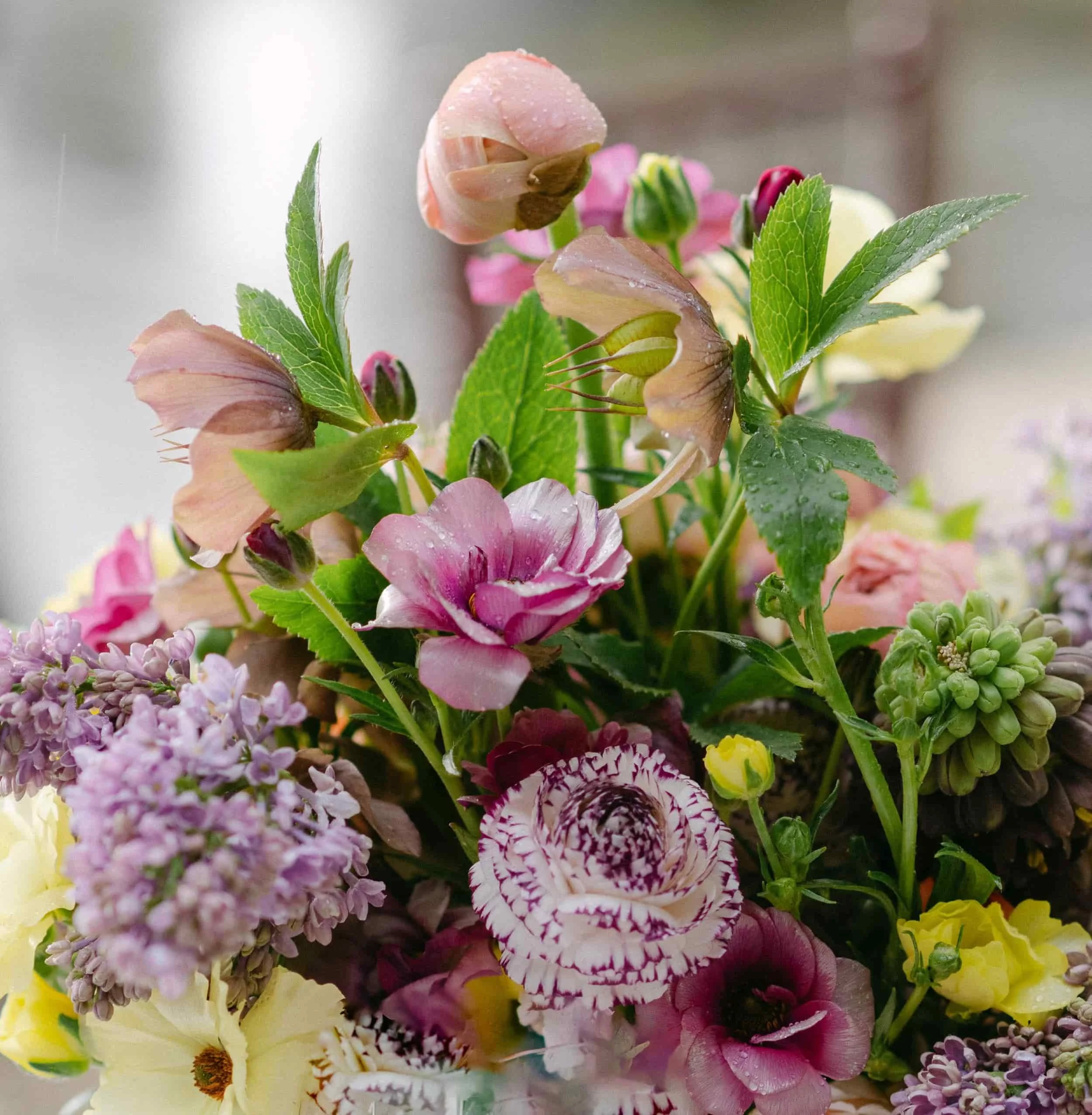 Close-up of a colorful bouquet of various flowers with water droplets on petals and leaves.