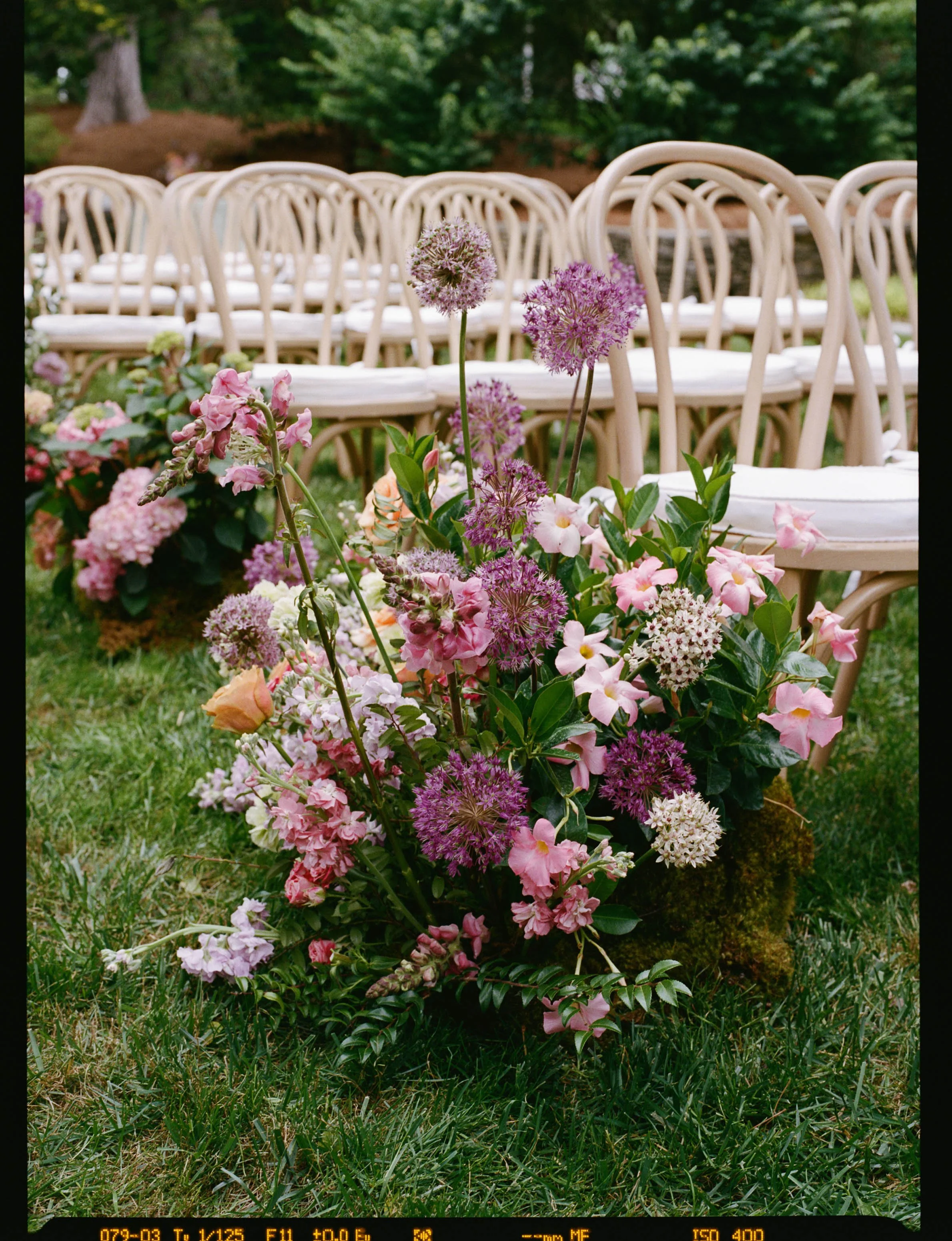 TnFIlmWedding_AmandaOwenPhotography-9.jpg