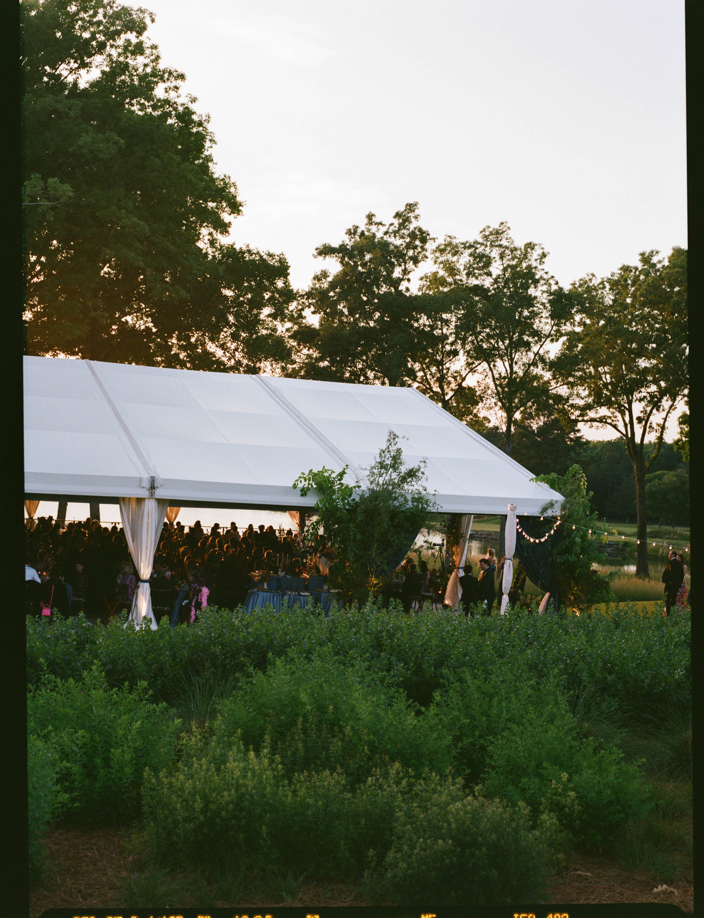 TnFIlmWedding_AmandaOwenPhotography-6.jpg