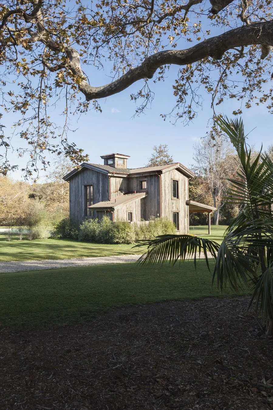 EXTERIOR_STUDIO FROM TREE_V copy.jpg