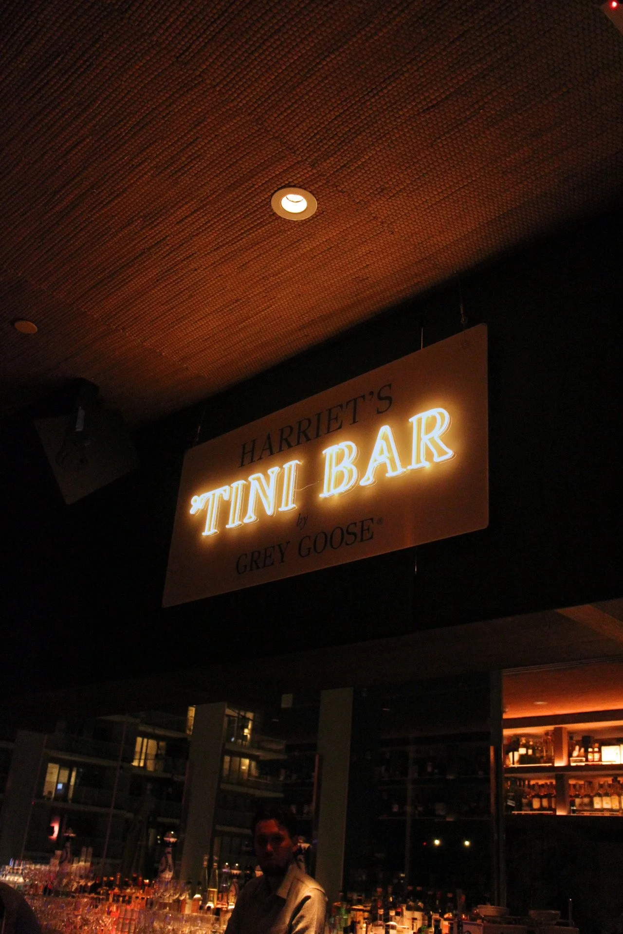 Tiny Harriet Sign Neon Fun Club-2.jpg