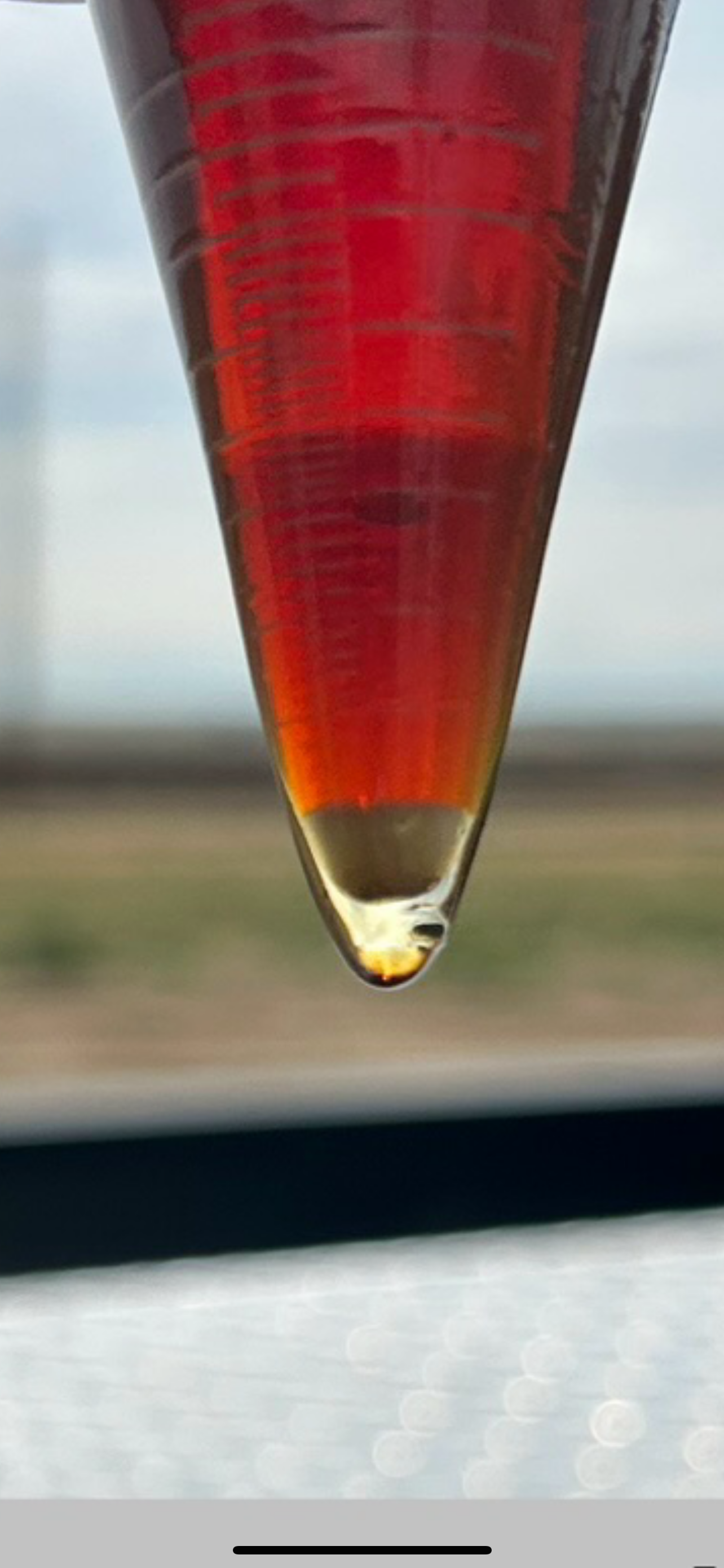 how should chemical be categorized—oil or water?