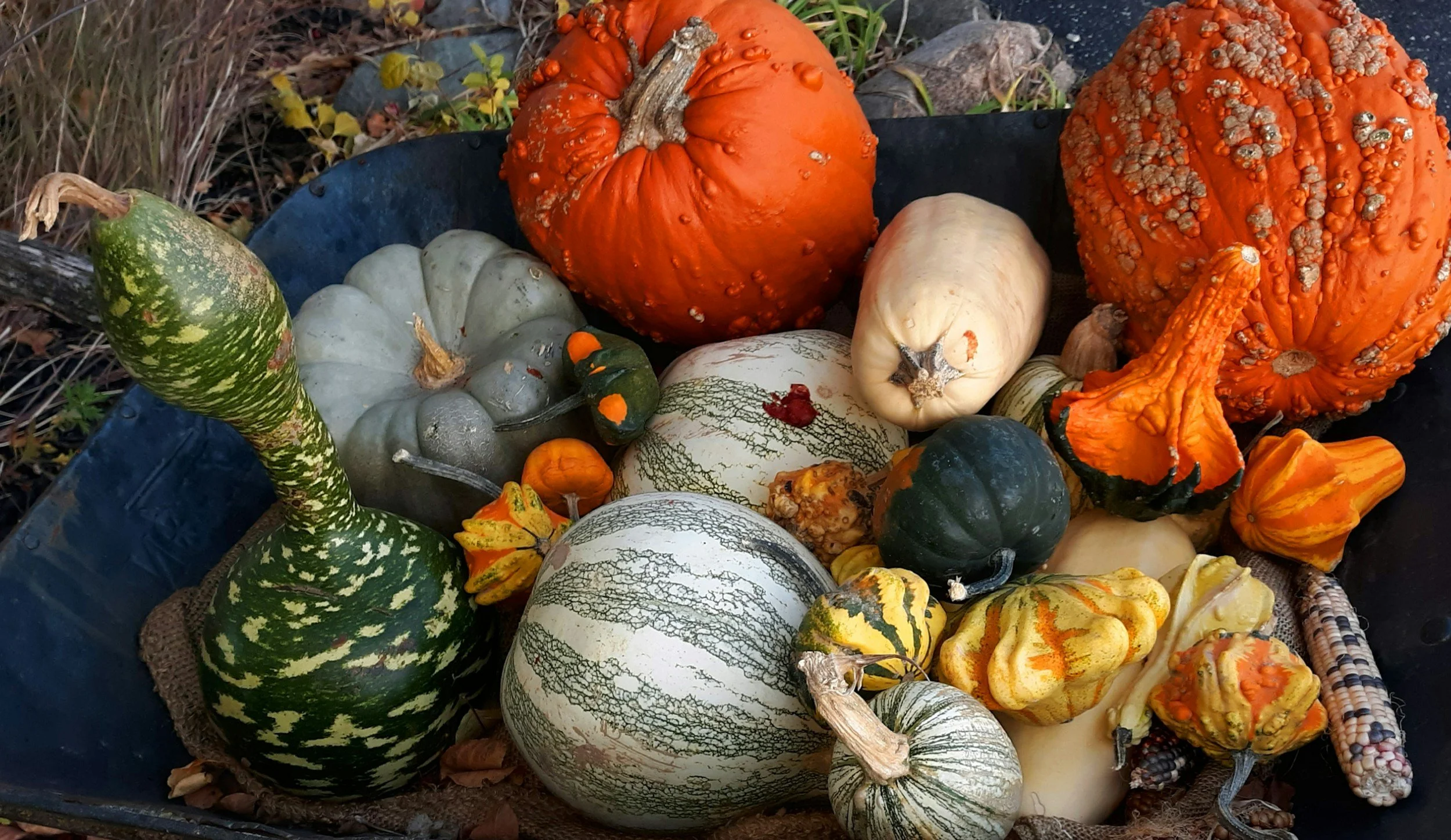 Annual Interfaith Thanksgiving Service