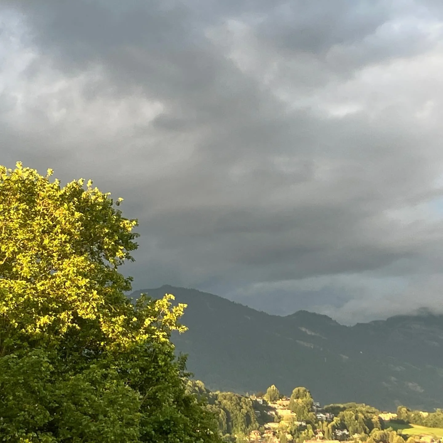 #sun #evening #summerinthecity